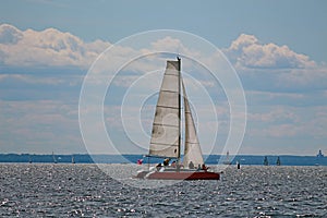 Red catamaran under a white sail, in the sea