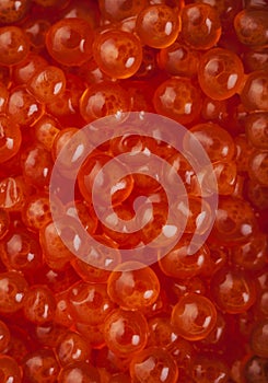 Red caviar