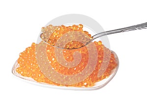 Red caviar in the ceramic plate and silver spoon isolated on a white background. Trout or salmon caviar close up. Macro shot.