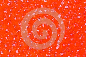 Red caviar close-up.