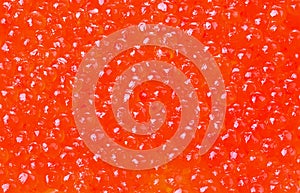 Red caviar close-up.