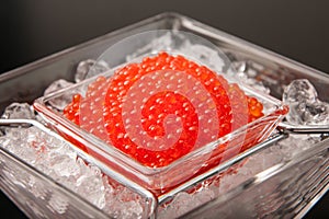 Red caviar photo