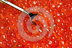 red caviar grains and silver spoon