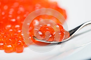 Red caviar grains on a silver spoon