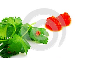 Red caviar on a green leaf of parsley