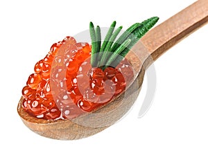 Red caviar heap in wooden spoon with rosemary leaf