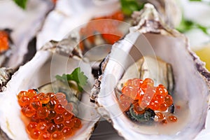 Red caviar in oyster shells