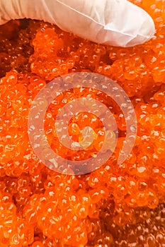 red caviar in plastic container. Salmon caviar, diet food