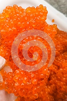 red caviar in plastic container. Salmon caviar, diet food