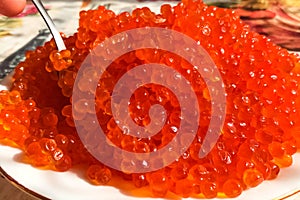 Red caviar on plate on the table. Salmon caviar. Dietary nutriti