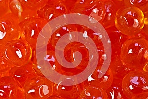 Red caviar salmon roe