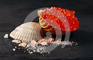 Red caviar in seashell
