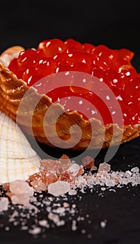 Red caviar in seashell