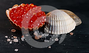 Red caviar in seashell