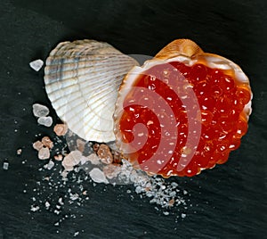 Red caviar in seashell