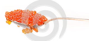 Red caviar in spoon