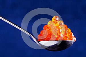 Red caviar in the spoon