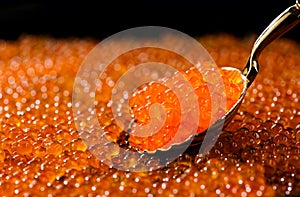 Red Caviar in a spoon background. Close-up of salmon fish roe caviar. Delicatessen. Texture of trout caviar