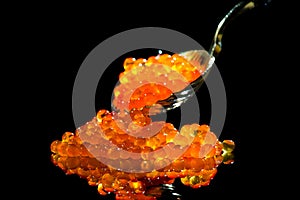 Red Caviar in a spoon. Caviar isolated on black background. Fish roe, Close-up salmon or trout caviar