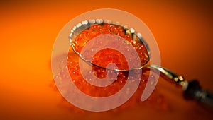 Red Caviar in a spoon. Caviar over orange background. Natural Fish roe, Close-up salmon or trout caviar