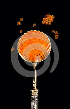 Red Caviar in a spoon isolated on black background. Close-up of salmon fish roe caviar. Delicatessen