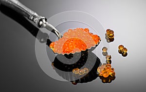 Red Caviar in a spoon over gray background. Close-up of salmon fish roe caviar. Delicatessen