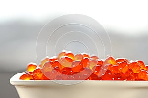 Red caviar in white bowl