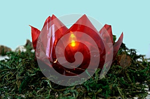 Red Cellophane Origami Lotus Flower with Lights on a bed of moss.