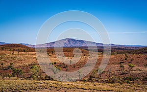 Red centre landscape with distant view of Mount Razorback in NT outback Australia