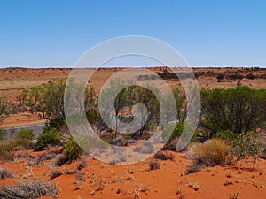 The red centre or Lasseter highway