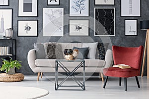 Red chair next to table and couch in modern apartment interior with gallery and plant on pouf. Real photo