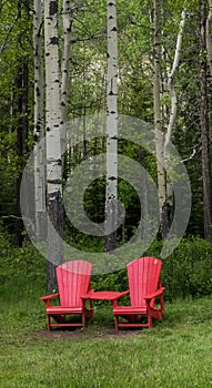 Red chairs and birch trees