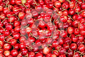 Red Cherrie background