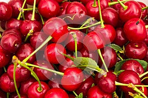 Red cherries