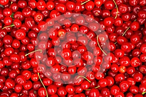 Red Cherries. Background.