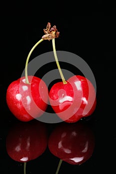 Red cherries on black