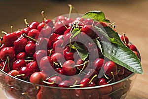 Red cherries in bowl photo