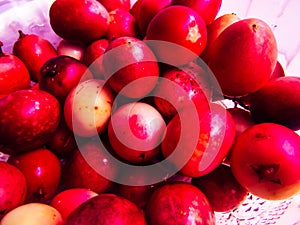 Red cherries collect for foo process