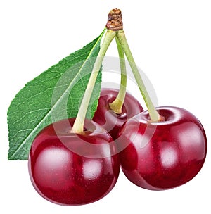Red cherries. File contains clipping paths