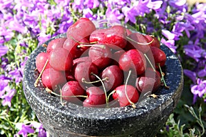 Red cherries