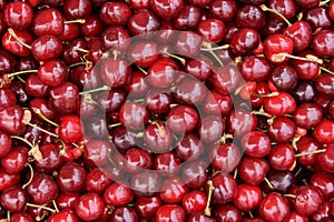 Red cherries fruit