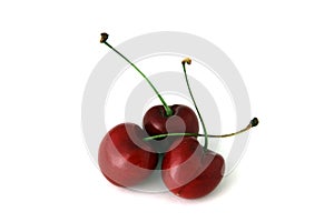 Red Cherries Isolated