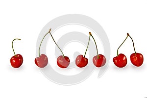 Red cherries