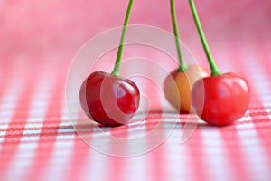 Red cherries still life