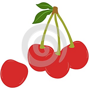 Red Cherries Vector Hand Drawn Illustration