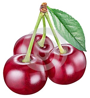 Red cherries on white background.