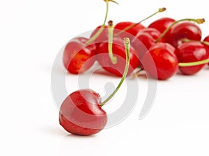 Red cherries on white background.