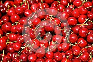 red cherry