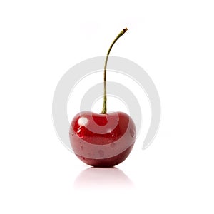 Red Cherry