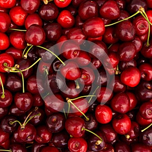 Red cherry background. Red ripe delicious cherries